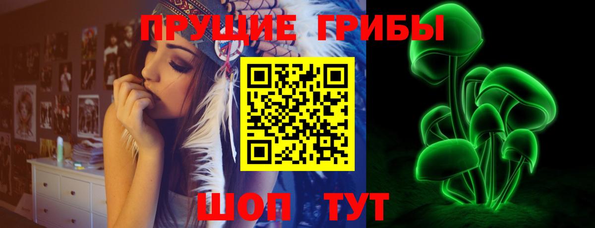Псилоцибиновые грибы MAGIC MUSHROOMS  Вход с VPN  Псилоцибиновые грибы Magic Shrooms  Мичуринск 